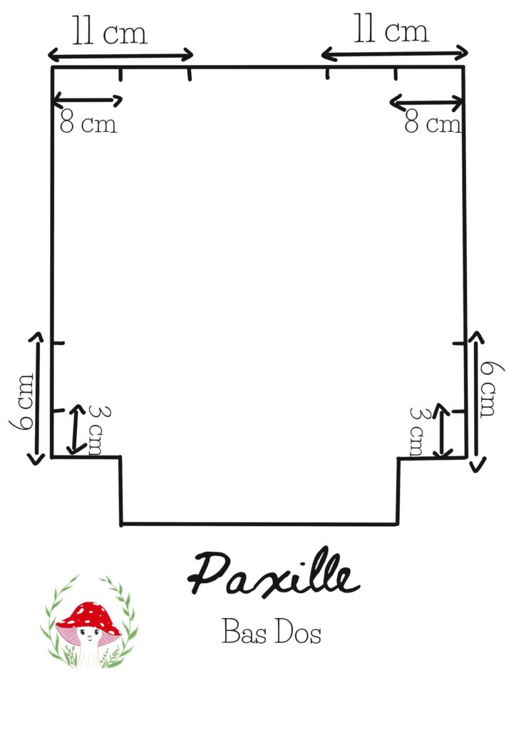 Paxille positionnement des anses