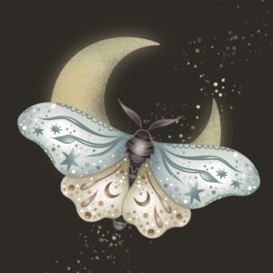 Papillon de nuit