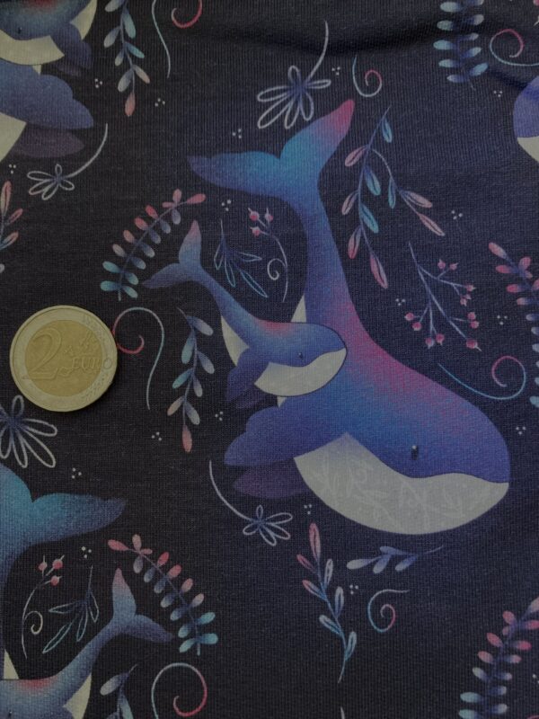 Taille Baleine